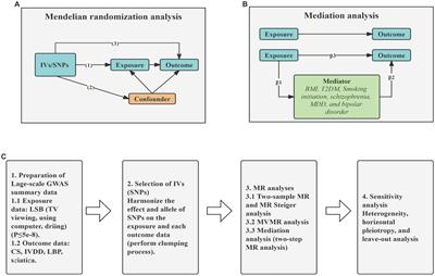 Causal association of leisure sedentary behavior and cervical spondylosis, sciatica, intervertebral disk disorders, and low back pain: a Mendelian randomization study